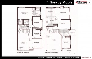 Trillium_Design_plans_NorwayMaple2